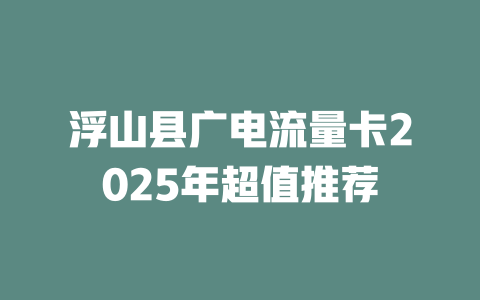 浮山县广电流量卡2025年超值推荐