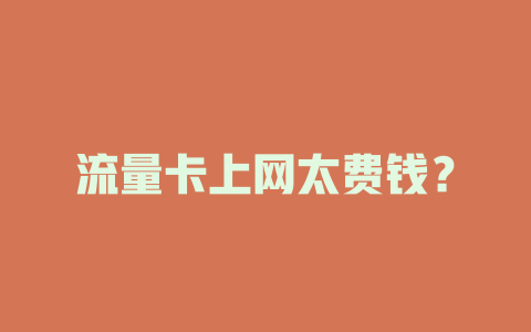 流量卡上网太费钱？