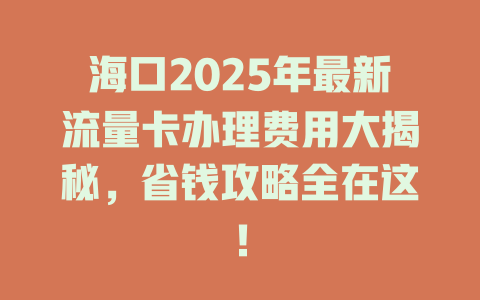 海口2025年最新流量卡办理费用大揭秘，省钱攻略全在这！