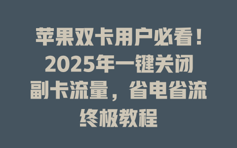 苹果双卡用户必看！2025年一键关闭副卡流量，省电省流终极教程