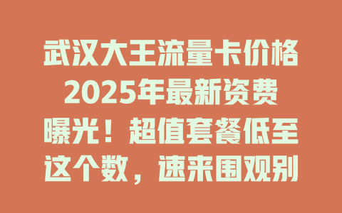 武汉大王流量卡价格2025年最新资费曝光！超值套餐低至这个数，速来围观别错过！