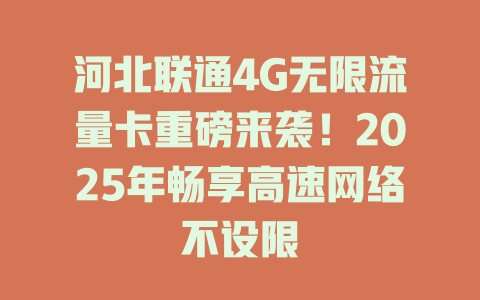 河北联通4G无限流量卡重磅来袭！2025年畅享高速网络不设限