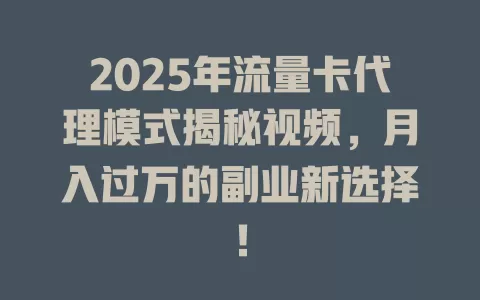 2025年流量卡代理模式揭秘视频，月入过万的副业新选择！