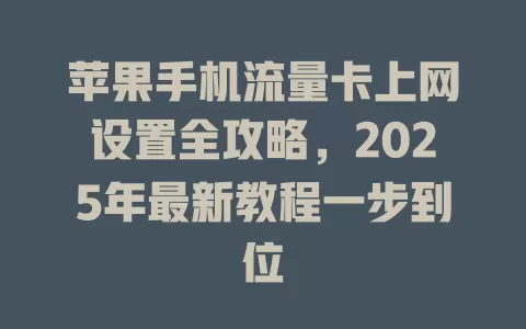 苹果手机流量卡上网设置全攻略，2025年最新教程一步到位