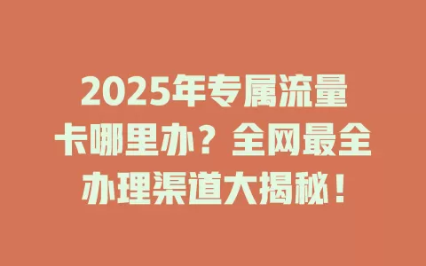 2025年专属流量卡哪里办？全网最全办理渠道大揭秘！