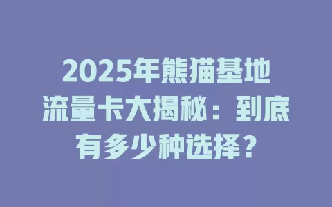 2025年熊猫基地流量卡大揭秘：到底有多少种选择？