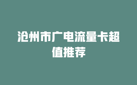 沧州市广电流量卡超值推荐
