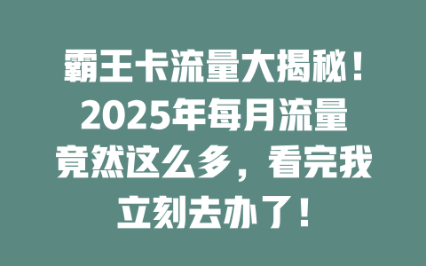 霸王卡流量大揭秘！2025年每月流量竟然这么多，看完我立刻去办了！