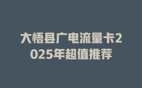 大悟县广电流量卡2025年超值推荐