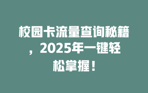 校园卡流量查询秘籍，2025年一键轻松掌握！