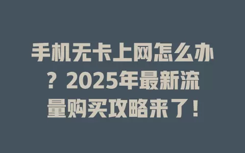 手机无卡上网怎么办？2025年最新流量购买攻略来了！