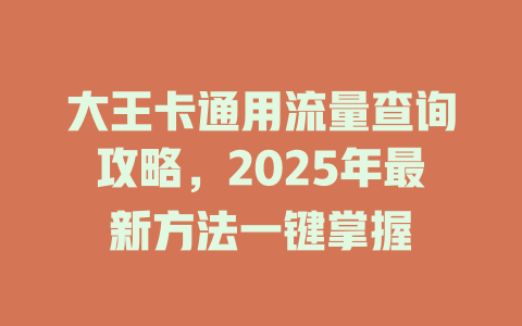 大王卡通用流量查询攻略，2025年最新方法一键掌握