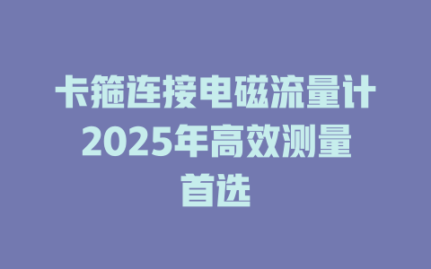 卡箍连接电磁流量计2025年高效测量首选