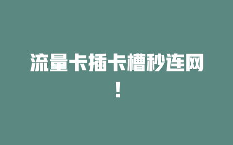 流量卡插卡槽秒连网！