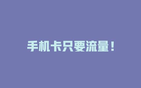 手机卡只要流量！