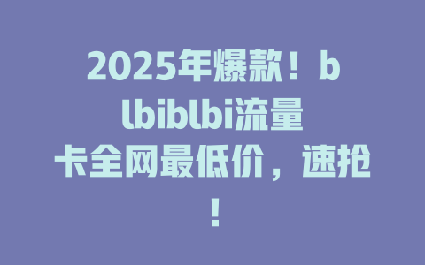 2025年爆款！blbiblbi流量卡全网最低价，速抢！