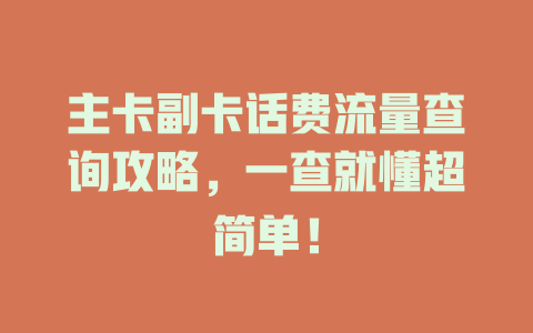 主卡副卡话费流量查询攻略，一查就懂超简单！