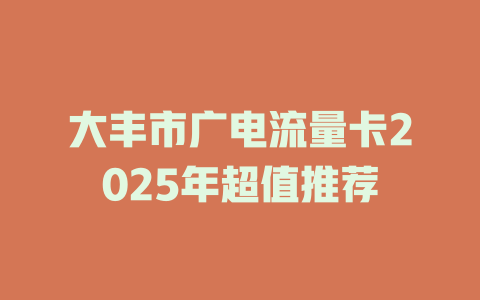 大丰市广电流量卡2025年超值推荐