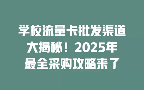 学校流量卡批发渠道大揭秘！2025年最全采购攻略来了