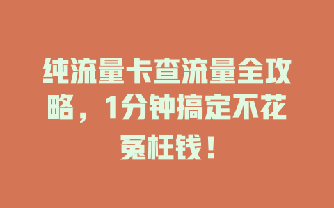 纯流量卡查流量全攻略，1分钟搞定不花冤枉钱！