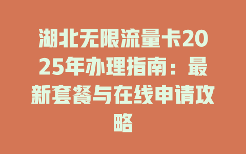 湖北无限流量卡2025年办理指南：最新套餐与在线申请攻略