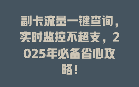 副卡流量一键查询，实时监控不超支，2025年必备省心攻略！