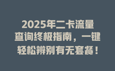 2025年二卡流量查询终极指南，一键轻松辨别有无套餐！