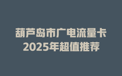 葫芦岛市广电流量卡2025年超值推荐