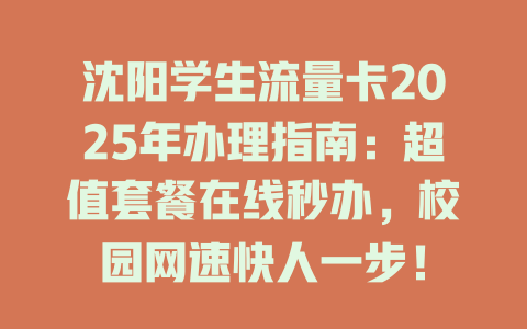 沈阳学生流量卡2025年办理指南：超值套餐在线秒办，校园网速快人一步！