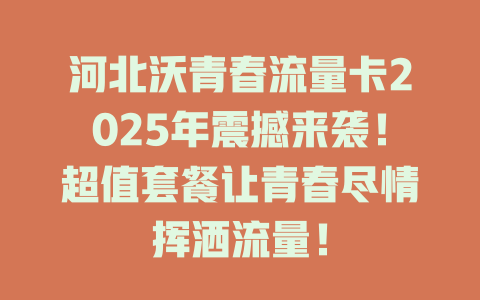 河北沃青春流量卡2025年震撼来袭!超值套餐让青春尽情挥洒流量!