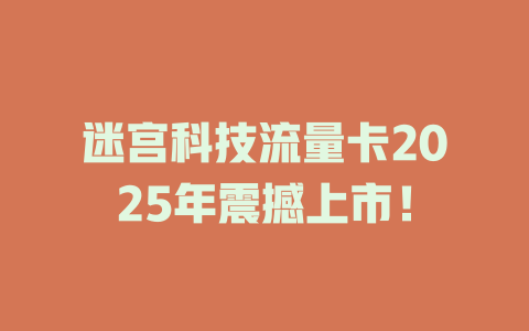 迷宫科技流量卡2025年震撼上市！