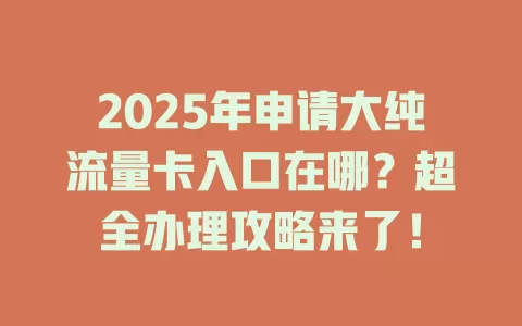 2025年申请大纯流量卡入口在哪？超全办理攻略来了！