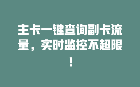 主卡一键查询副卡流量，实时监控不超限！