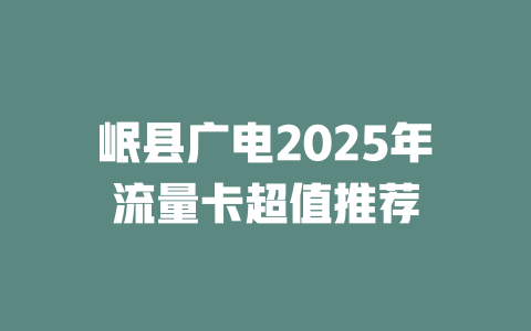 岷县广电2025年流量卡超值推荐