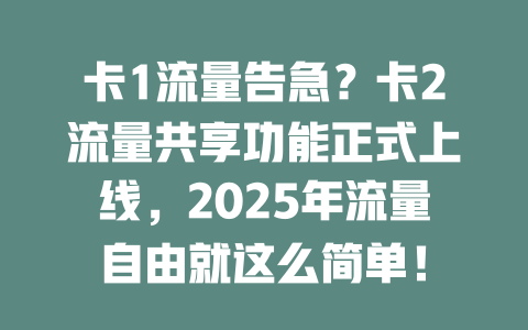 卡1流量告急？卡2流量共享功能正式上线，2025年流量自由就这么简单！