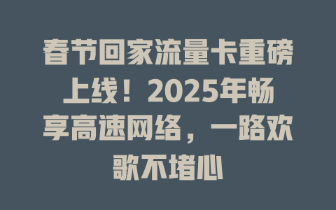 春节回家流量卡重磅上线！2025年畅享高速网络，一路欢歌不堵心