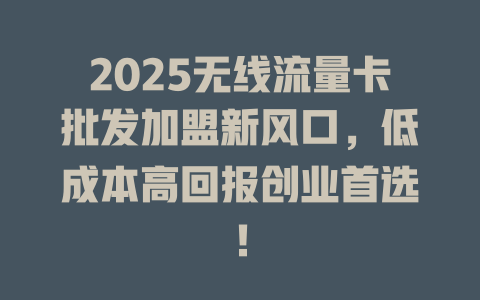 2025无线流量卡批发加盟新风口，低成本高回报创业首选！