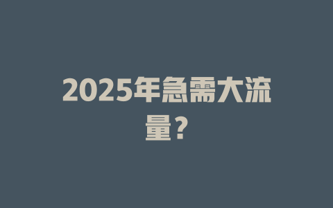 2025年急需大流量？