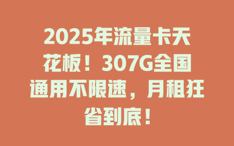 2025年流量卡天花板！307G全国通用不限速，月租狂省到底！
