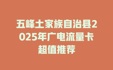 五峰土家族自治县2025年广电流量卡超值推荐