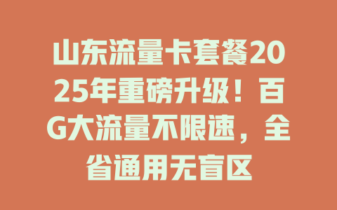 山东流量卡套餐2025年重磅升级！百G大流量不限速，全省通用无盲区