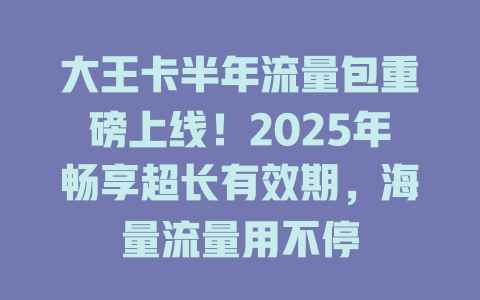 大王卡半年流量包重磅上线！2025年畅享超长有效期，海量流量用不停