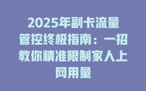 2025年副卡流量管控终极指南：一招教你精准限制家人上网用量