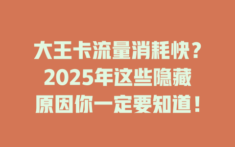 大王卡流量消耗快？2025年这些隐藏原因你一定要知道！