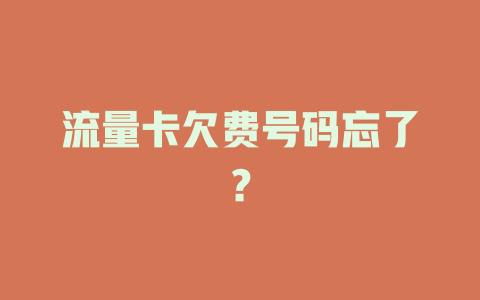 流量卡欠费号码忘了？