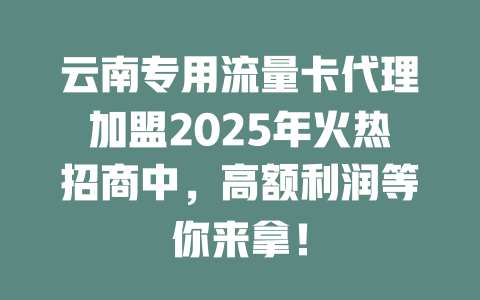 云南专用流量卡代理加盟2025年火热招商中，高额利润等你来拿！