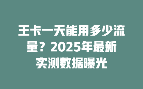 王卡一天能用多少流量？2025年最新实测数据曝光