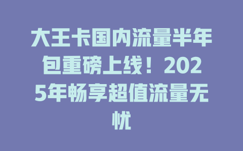 大王卡国内流量半年包重磅上线！2025年畅享超值流量无忧