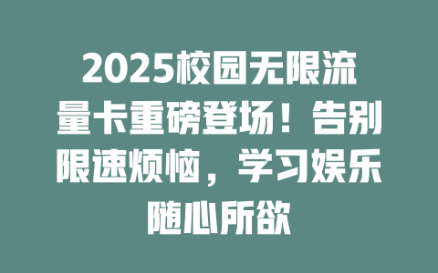 2025校园无限流量卡重磅登场！告别限速烦恼，学习娱乐随心所欲