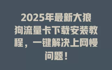 2025年最新大狼狗流量卡下载安装教程，一键解决上网慢问题！